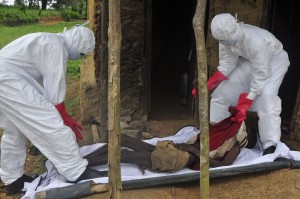 In this Oct. 31, 2014 photo, health workers carry the body of an old man from his house, with the Ebola virus being the suspected cause of death, in Monrovia, Liberia. AP