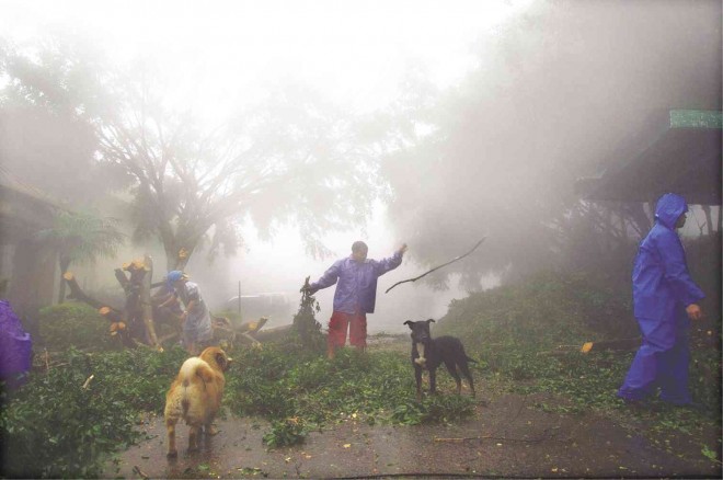 Volunteers clear the road of trees toppled by Typhoon “Ineng” (international name: Goni) in Barangay Guisad, Baguio City, on Friday. Stormy weather and heavy rains  are still expected in Luzon, including Metro Manila, over the weekend. RICHARD BALONGLONG/INQUIRER NORTHERN LUZON