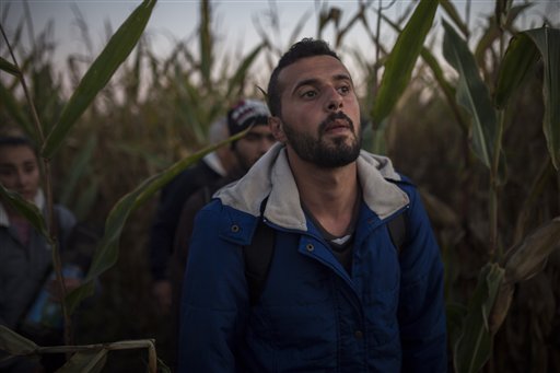  In this photo taken on Saturday, Sept. 12, 2015, Mohammed al-Haj and his friends try to hide from police in a cornfield in Roszke village, southern Hungary. Mohammed, a 26-year-old from Aleppo, was one of more than 600,000 migrants and refugees who flowed into Europe so far this year. The Associated Press followed Mohammed on nearly every step of his 2,500-mile journey in September, starting from Killis, Turkey, where his family lived for a year after escaping Syria. (AP Photo/Santi Palacios)