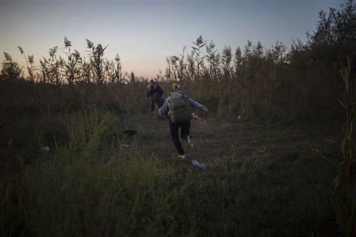  In this photo taken on Saturday, Sept. 12, 2015, Mohammed al-Haj, background, and his friends try to avoid the police in a cornfield in Roszke village, southern Hungary. Mohammed, a 26-year-old from Aleppo, was one of more than 600,000 migrants and refugees who flowed into Europe so far this year. The Associated Press followed Mohammed on nearly every step of his 2,500-mile journey in September, starting from Killis, Turkey, where his family lived for a year after escaping Syria. (AP Photo/Santi Palacios)