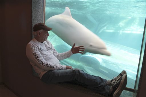 In this Sept. 16, 2015 photo released by DolphinProject.com, Ric O'Barry checks the status of Angel the dolphin at the Taiji Whale Museum in Taiji, Wakayama prefecture, western Japan.Japan has ordered the deportation of the star of the Oscar-winning documentary "The Cove," about a dolphin-killing village in Japan. O'Barry was detained upon arrival Monday, Jan. 18, 2016 at Tokyo's Narita international airport. Japanese authorities decided Friday, Jan. 22 to turn down his appeal to get into the country, according to his son.  (DolphinProject.com via AP)