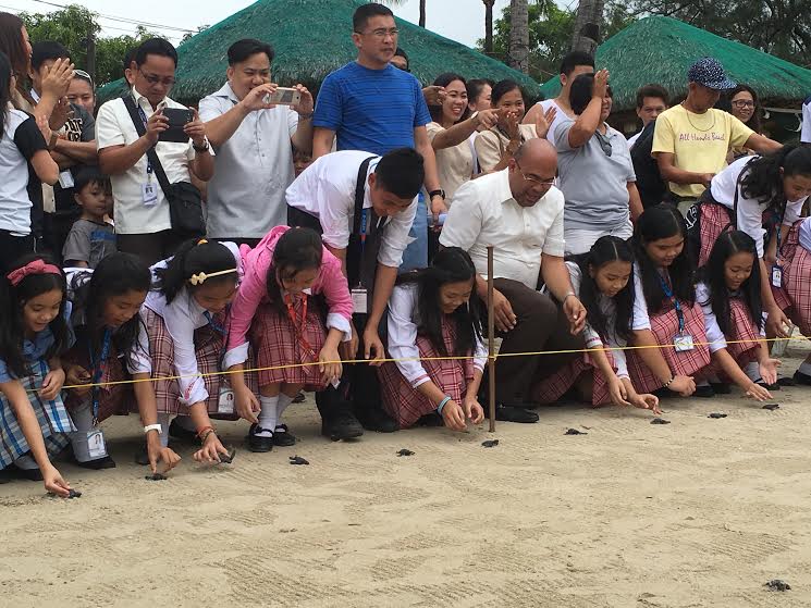 Students release newly hatched olive ridley sea turtles (pawikan) into Subic Bay. The baby pawikan were born at a hatchery inside a beach resort in Subic Bay Freeport. (PHOTO BY ALLAN MACATUNO / INQUIRER CENTRAL LUZON) 