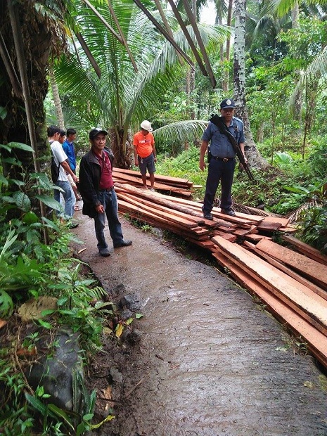 Authorities seize illegal coco lumber in Quezon - Inquirer.net