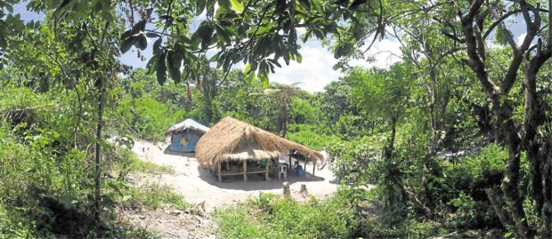 Pinatubo reforestation largely in private hands