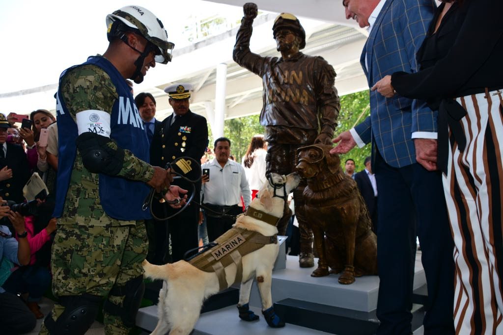 Hero dog that rescued 12 lives in 2017 Mexico quake honored with statue