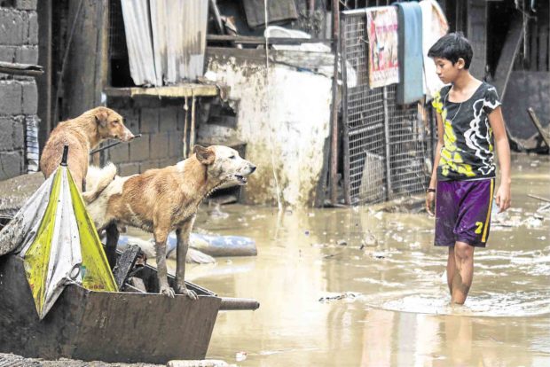 For Marikina evacuees, leaving pets behind is not an option