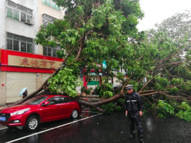 Super Typhoon 'Mangkhut' wreaks havoc in Guangdong