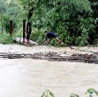Death toll in monsoon rains rises to 7