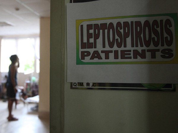 DOH records 631 cases of leptospirosis in first 4 months