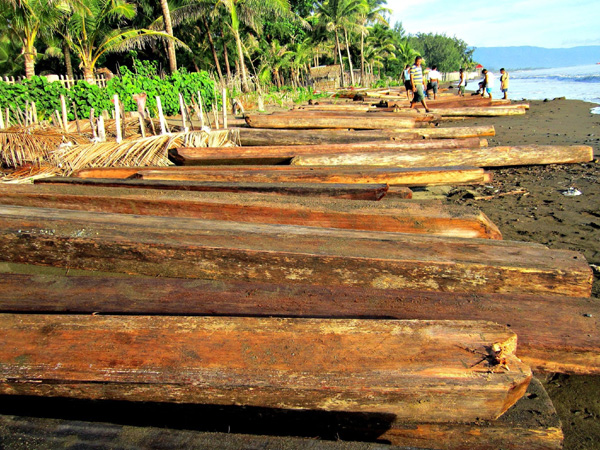 Illegally cut logs from Sierra Madre are spread at the shore of the Pacific Ocean in Infanta, Quezon.CONTRIBUTED PHOTO
