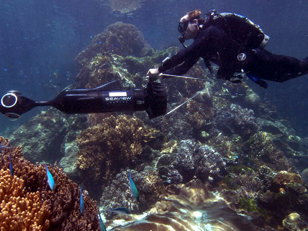 Australian scientists discover deep sea corals | Inquirer News