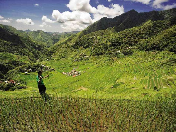 An estimated 14.2 million hectares of land may be exposed to full foreign ownership amid the proposed economic amendments to the 1987 Constitution, resulting in further displacement of farmers and indigenous people, said a farmers’ group on Monday.