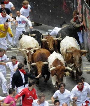 SPAIN, Pamplona: Participants run in front of El Pilar's steers during the sixth bull run of the San Fermin Festival in Pamplona, northern Spain on July 12, 2013. AFP PHOTO/ ANDER GILLENEA