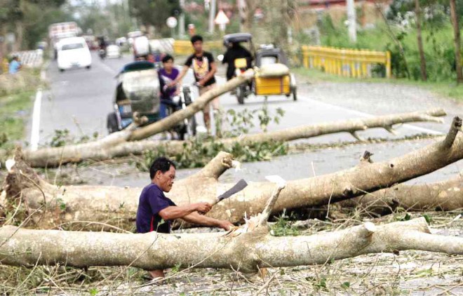 A MAN chops off a fallen tree along the national highway in the boundary of  Tarlac and  Nueva Ecija due to heavy winds spawned by Typhoon ‘Santi.’  RICHARD A. REYES