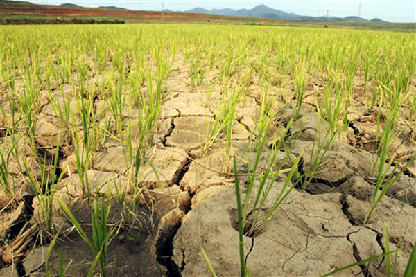 north korea drought
