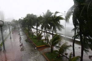 Typhoon Glenda