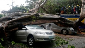 Firemen remove the branches from a fallen tree which fell on two cars at the onslaught of Typhoon Rammasun (locally known as Glenda) which battered Makati city, east of Manila, July 16, 2014. AP FILE PHOTO