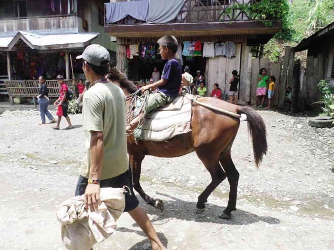 HORSES are familiar modes of transportation in Gupitan, a village in Kapalong, Davao del Norte province, that has become a battleground of government soldiers and communist guerrillas. CONTRIBUTED PHOTO 