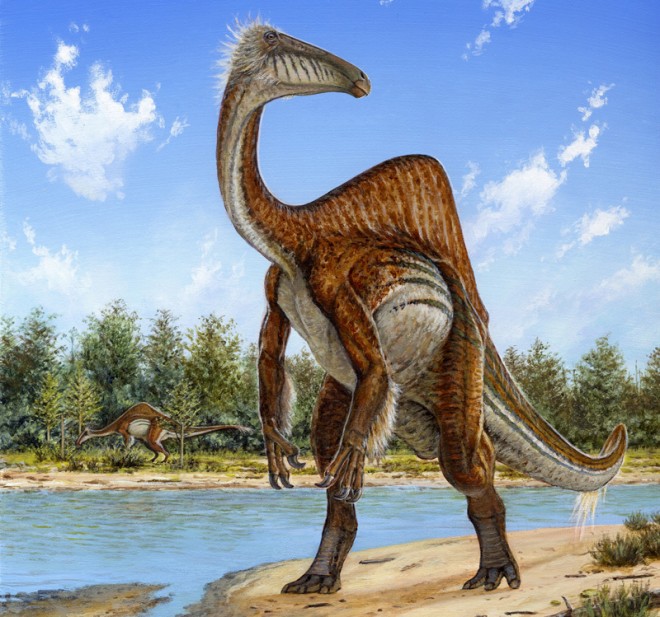 This undated handout image provided by Michael Skrepnick, Dinosaurs in Art, Nature Publishing Group, shows a Deinocheirus. Nearly 50 years ago, scientists found two large powerful arm bones of a new dinosaur species in Mongolia and figured it was a fearsome critter with killer claws. Now scientists have found the rest of the dinosaur and have new descriptions for the dinosaur: “goofy” and “weird.” The dinosaur probably lumbered along like a cross between TV dinosaur Barney and Jar Jar Binks of Star Wars fame: 16-feet tall, 36-foot long, 7-tons with a duckbill on its head and a hump-like sail on its back. Throw in those killer claws, tufts of feathers here and there, and no teeth _ and try not to snicker. And if that’s not enough, it ate like a giant vacuum cleaner. (AP Photo/Michael Skrepnick, Dinosaurs in Art, Nature Publishing Group)