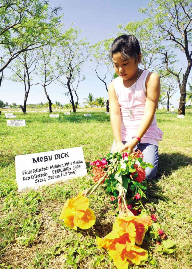 A GIRL offers flowers at the tomb of a whale buried in the fish cemetery of the National Integrated Fisheries Technology Development Center in Dagupan City. The cemetery holds the remains of 24 species of dolphin, whale and sea turtle. WILLIE LOMIBAO/CONTRIBUTOR