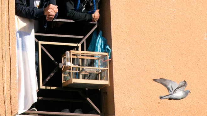 A bird cage hangs from a balcony of a refugee center, in Rome's outskirts, Thursday, Nov. 13, 2014. Riotpolice moved in to prevent residents of a neighborhood on Rome's outskirts from attacking refugees living at a holding center in the latest incident of anti-immigrant tensions rocking Italy. The working-class neighborhood of Tor Sapienza has seen several days and nights of clashes by residents against refugees, blaming foreigners for crimes. Residents say they're not racist, but are fed up with what they say are years of neglect by government authorities who have allowed gypsies, migrants and asylum-seekers to settle in Rome'speripheries without providing adequate services. The U.N. High Commissioner for Refugees condemned the violence, saying refugees and unaccompanied minors fleeing war and conflict deserve protection, respect and help integrating, not "unacceptable" acts of violence and intolerance. (AP Photo/Alessandra Tarantino)