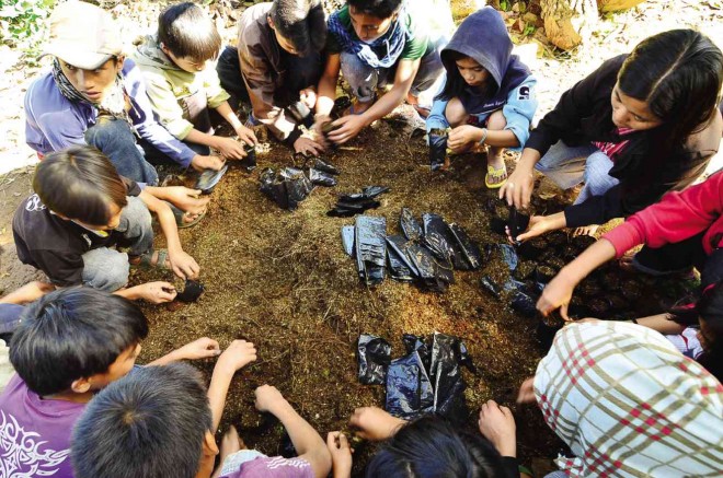 STUDENTS in Kibungan town in Benguet province join hands in planting tree seedlings and building nurseries to help replenish their forest. More than 100 nurseries have since been completed in the Cordillera region. PHOTOS BY JP ALIPIO/CONTRIBUTOR