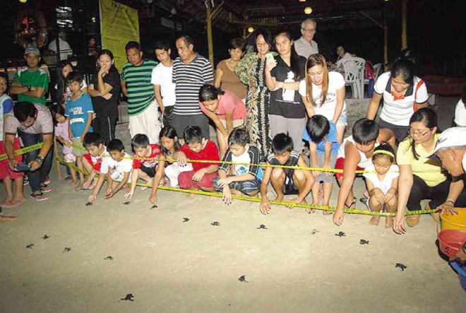 Some 50 tourists and their children gathered on the shore of All Hands Beach in Subic Bay Freeport to let loose 59 baby olive ridley sea turtles to their natural habitat. Allan Macatuno/Inquirer Central Luzon Desk