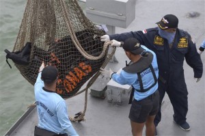 Bags containing dead bodies of the passengers of AirAsia Flight 8501 are lifted onto Indonesian navy vessel KRI Banda Aceh at sea off the coast of Pangkalan Bun, Indonesia, Saturday, Jan. 3, 2015. Indonesian officials were hopeful Saturday they were honing in on the wreckage of the flight after sonar equipment detected two large objects on the ocean floor, a full week after the plane went down in stormy weather. AP