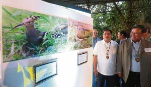 MINDORO Biodiversity Conservation Foundation’s Facundo Roco and DENR Assistant Secretary Marcial Amaro view photos of the 17 species recorded for the first time in Mindoro, at theNinoy Aquino Parks and Wildlife Center in Quezon City. MARIANNE BERMUDEZ