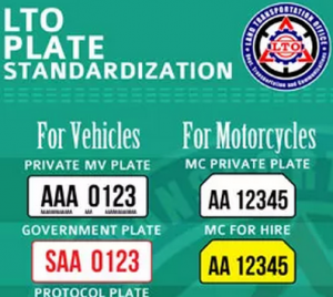 license plate infographic