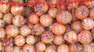 onions-0109