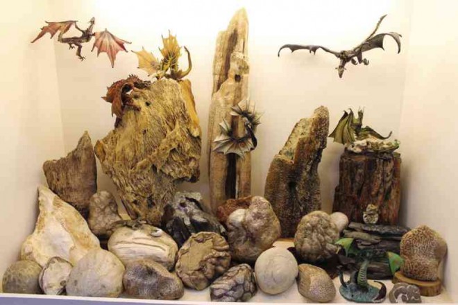 SOME fossils on display  at Marian School of Quezon City’s Museum  of Rocks  and Shells 