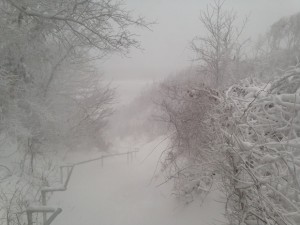 Wind gusts near hurricane force create poor visibility along Cape Cod Bay in Bourne, Mass., on Sunday, Feb. 15, 2015. A storm brought a new round of wind-whipped snow to New England on Sunday, threatening white-out conditions in coastal areas and forcing people to contend with a fourth winter onslaught in less than a month. (AP Photo/William J. Kole)