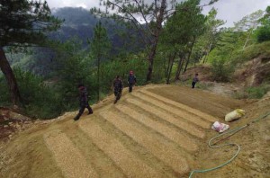 POLICEMEN escort a representative of the Court of Appeals during an inspection at a section of Mt. Sto. Tomas in Tuba town in Benguet, where a road was built through the forest and damaged Baguio City’s water source. RICHARD BALONGLONG/INQUIRER NORTHERN LUZON