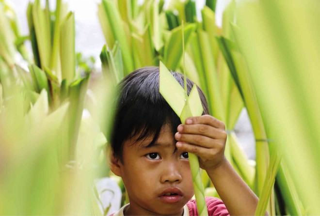 ARTISTIC TRADITION Kim Xymon Bautista, 7, of Famy, Laguna province, helps his family in the weaving of palm fronds that will sell for P15 apiece outside Sto. Domingo Church in Quezon City, for the celebration of Palm Sunday today, the beginning of Holy Week. The palm frond is a symbol of victory and peace. RAFFY LERMA 