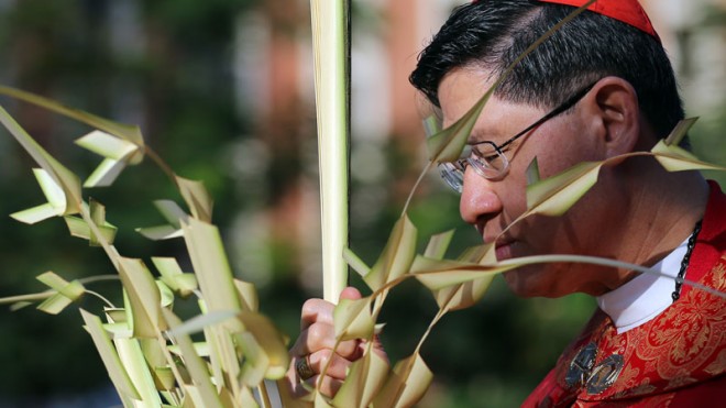 PALM SUNDAY MASS Manila Archbishop Luis Antonio Cardinal Tagle holds a palm frond during the Palm Sunday Mass at Manila Cathedral. Palm Sunday marks the start of the Holy Week. RAFFY LERMA