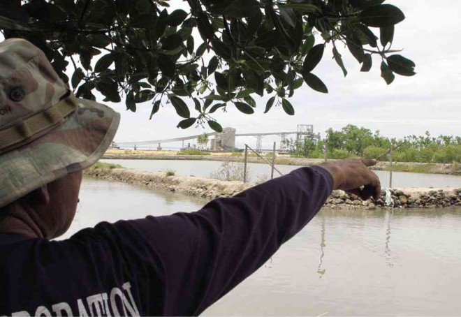 SWAMPLAND A resident of Naga City points to the mangrove forest, which is part of the Balili property purchased by the Cebu provincial government. LITO TECSON/CEBU DAILY NEWS