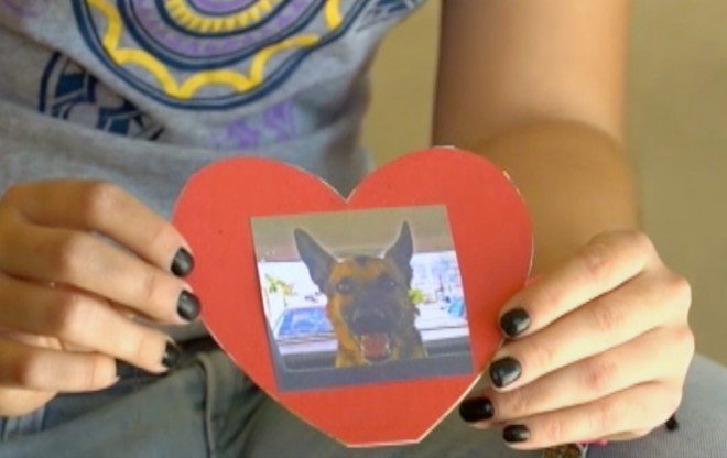 In this frame grab of video from AP Television, Julieta Robles shows a photograph of her dog "Box," in Hermosillo, Mexico, Wednesday, April 1, 2015. Robles lost her 5-year-old female German Shepard to a dog poisoner two weeks ago, and dozens more dogs, all with owners, have died of a similar poison since mid-March. (AP Photo/AP Television)