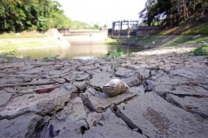 Just how hot it is in Cebu City nowadays can be gleaned from the appearance of parched soil where there used to be water in the dam being maintained by the Metro Cebu Water District in the city. JUNJIE MENDOZA/CEBU DAILY NEWS 