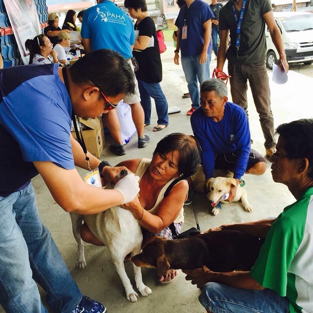 Dogs receive free vaccination, deworming, and tick and flea control during the Global Animal Outreach. 