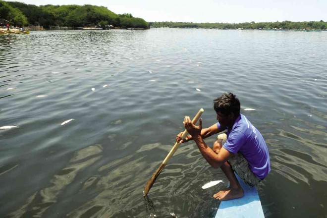 ONLY a few bangus (milkfish) remain floating on the Kakiputan Channel in Bolinao, Pangasinan province, on Wednesday morning as bangus growers start cleaning the waterway hit by fish kill that started on Saturday. WILLIE LOMIBAO/INQUIRER NORTHERN LUZON