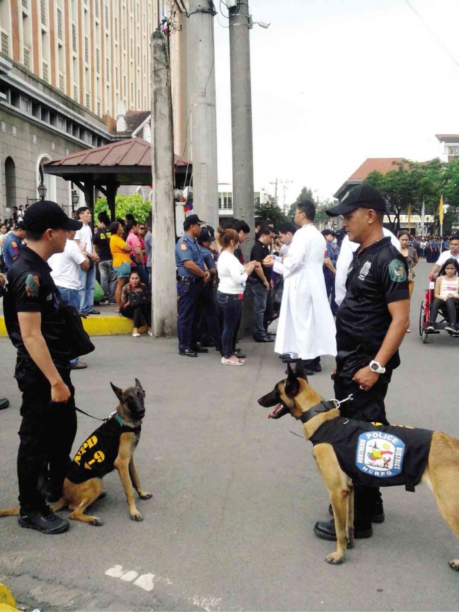 Formed only in October last year, the Northern Police District’s K-9 unit includes Alpha and Halo, both of the Belgian Malinois breed, whose resumé includes guarding Manila Cathedral during the visit of Pope Francis in January. NPD PHOTO 