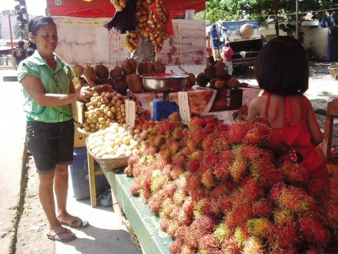 FRUITS on display at the Kidapawan City pavilion at the resumption of the Kasadya sa Timpupo Festival to recognize a bountiful harvest of fruits in the city WILLIAMOR MAGBANUA/INQUIRER MINDANAO