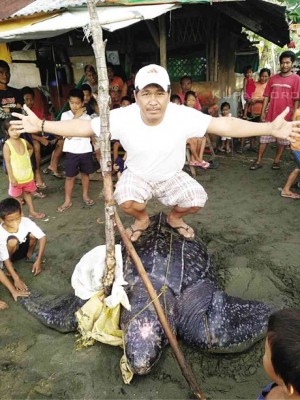 A PHOTO  of Jose Lastimado squatting on top of a leatherback sea turtle has gone viral in Facebook. 
