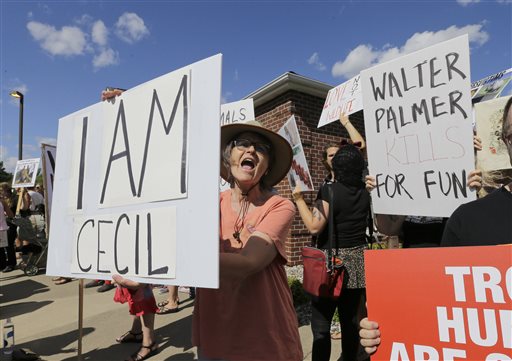 FILE- In this July 29, 2015, file photo, protestors gather outside Dr. Walter James Palmer's dental office in Bloomington, Minn. Palmer killed Cecil, a black-maned lion, just outside Hwange National Park in Zimbabwe. Palmer participated in an interview Sunday, Sept. 6, in which he disputed some accounts of the hunt, expressed agitation at the animosity directed at those close to him and said he would be back at work within days. (AP Photo/Ann Heisenfelt, File)