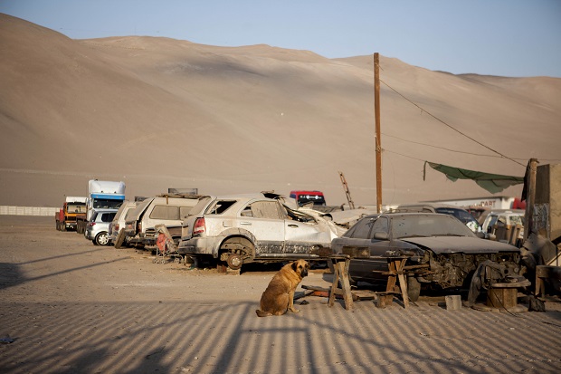 Chile Abandoned Child