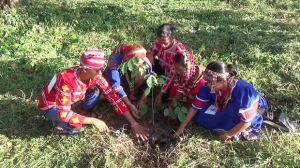 lumad tree planting