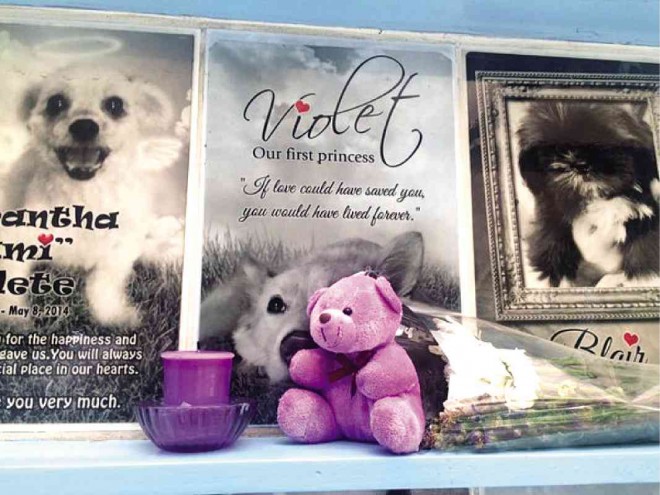 A teddy bear, a candle and flowers for “Violet The Princess Dog” at the PAWS Pet Memorial in Quezon City. ERIKA SAULER