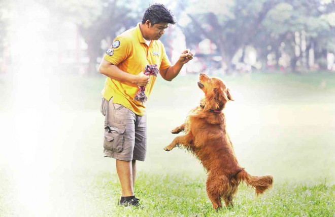 TRAINING DAY. Dog coach Francis Cleopas performs tricks with his Golden Retriever “Serena,” at UP Diliman Sunken Garden during the Oct. 4 Doggie Picnic. NIÑO JESUS ORBETA