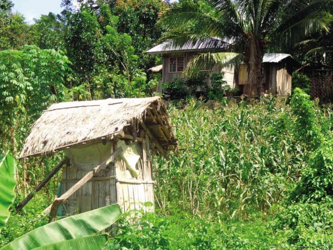 TOILETS outside houses in the upland village of Kuya, South Upi, the only municipality in Maguindanao province and in the Autonomous Region in Muslim Mindanao that has achieved zero open defecation FRINSTON L. LIM